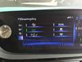 Lexus ES 300 ES 300h OPEN DAK/NAVI/CAMERA/ZETELVERW/ACC/LEDER Gris - thumbnail 30
