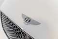 Bentley Continental GTC V8 Convertible | Mulliner | Blackline | Dynamic White - thumbnail 6