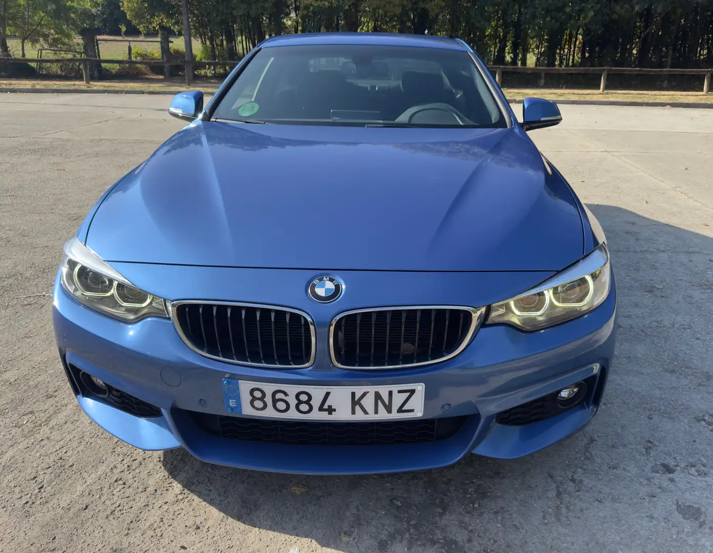 BMW 420 420dA Coupé 4.75 Azul - 2