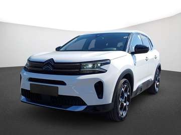 Hybrid 1