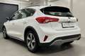Ford Focus 1,0 EcoBoost Active *Android Auto*Lenkradheizung* Weiß - thumbnail 10