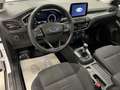 Ford Focus 1,0 EcoBoost Active *Android Auto*Lenkradheizung* Weiß - thumbnail 17