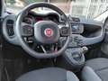 Fiat Panda 0.9 TwinAir Turbo Natural Power Easy km 53.000 Blanc - thumbnail 23