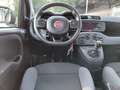 Fiat Panda 0.9 TwinAir Turbo Natural Power Easy km 53.000 Blanc - thumbnail 24