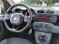 Fiat Panda 0.9 TwinAir Turbo Natural Power Easy km 53.000 Blanc - thumbnail 22