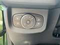 Ford Tourneo Courier BEV Active DAB, AFL, Tempomat Grün - thumbnail 14