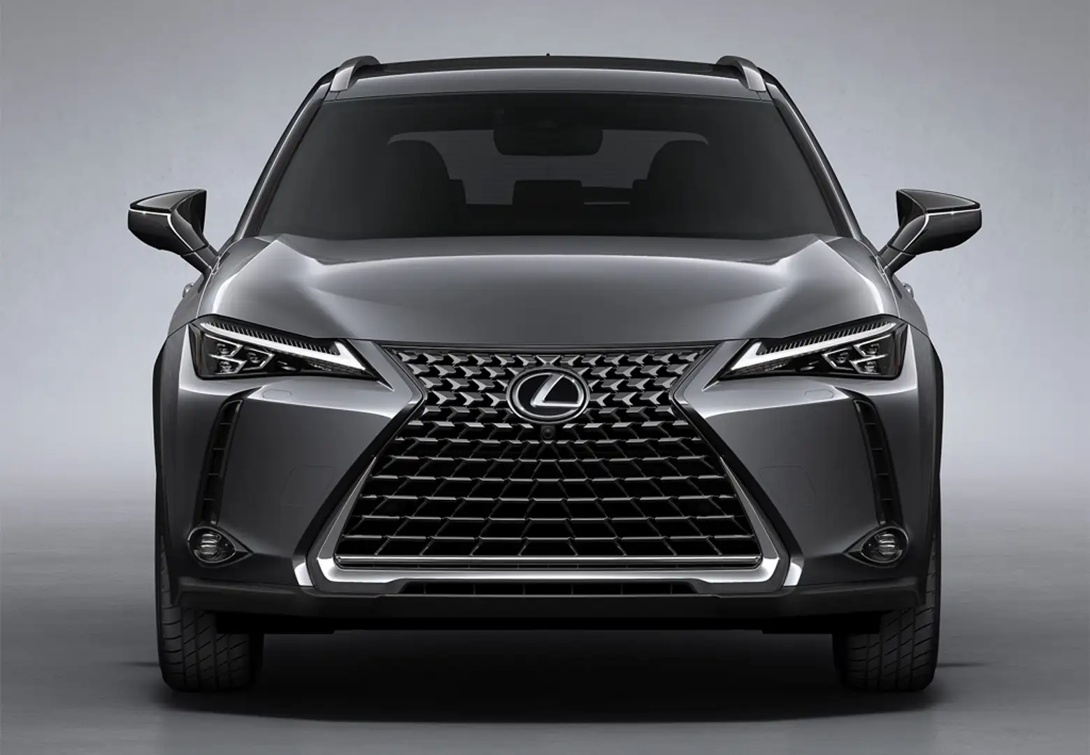 Lexus UX 300h + - 1