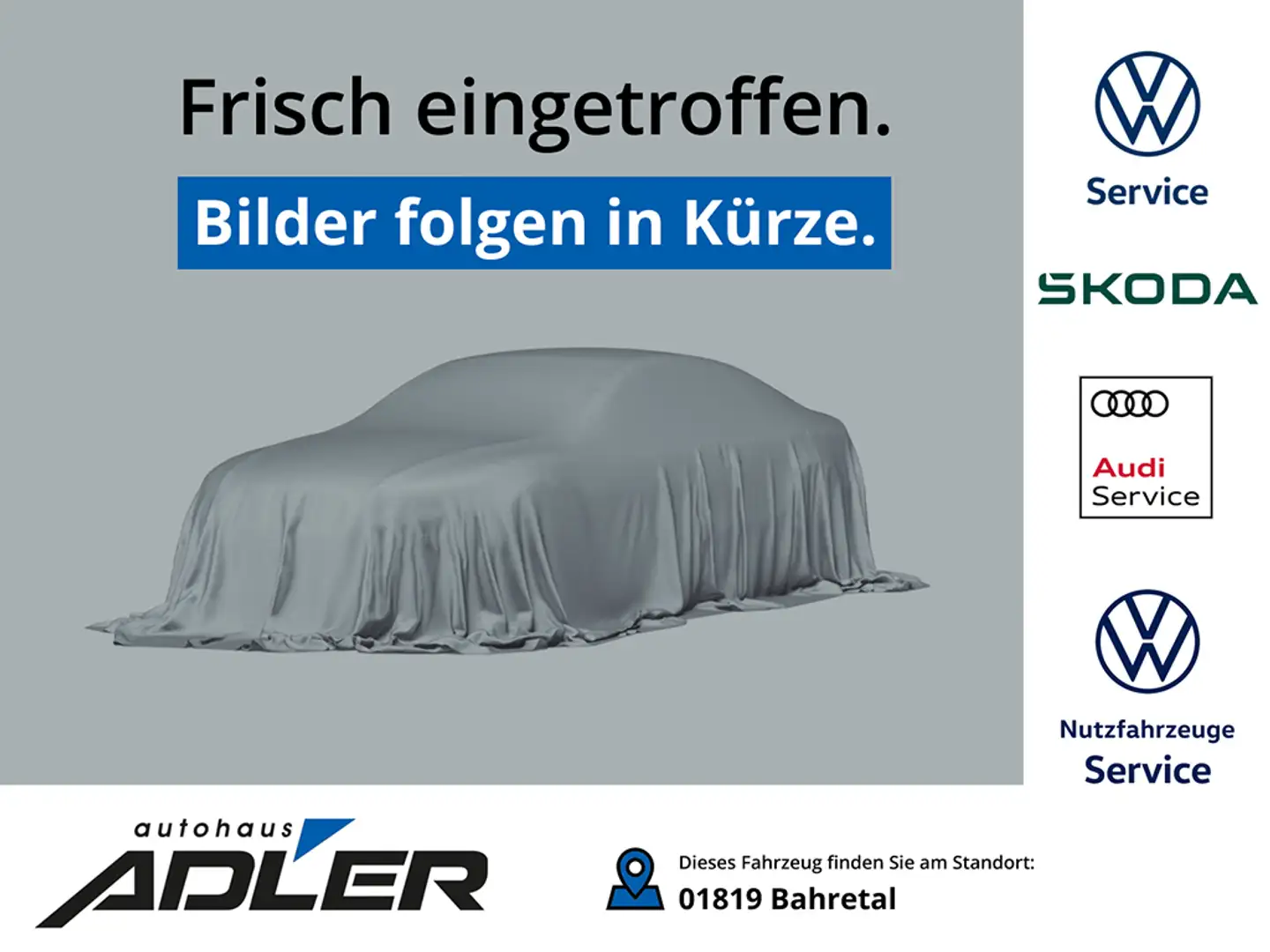 Volkswagen Golf VII Variant Alltrack 2.0 TDI 135 kW 6-Gang-DSG 4Mo Grau - 1