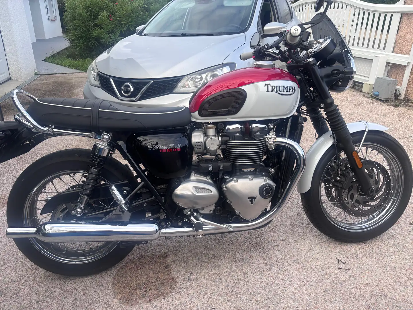 Triumph Bonneville T120 Bud ekins Rot - 2