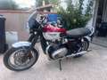 Triumph Bonneville T120 Bud ekins Rot - thumbnail 1