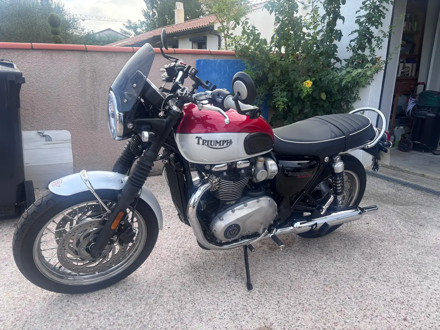 Triumph Bonneville T120 Bud ekins Rot - 1