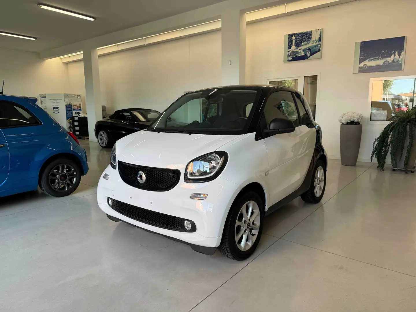smart forTwo Fortwo 1.0 Passion 71cv "neopatentati" Blanc - 2