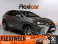 Lexus NX 300 300h Business Navigation 2WD Gris - thumbnail 1