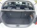 Ford Ka/Ka+ 1.2 Park.Sensor | Dealer | Beurt | Apk | Airco Alb - thumbnail 8