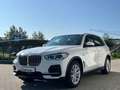 BMW X5 xDrive45e  Int-AL/AHK/LASER 2 JAHRE GARANTIE Weiß - thumbnail 3