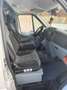 Ford Nugget Westfalia - thumbnail 7