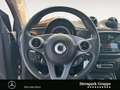 smart forTwo fortwo cabrio passion 66 KW DAB*LED&SENSOR*SHZ* BC Blanc - thumbnail 12