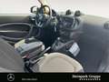 smart forTwo fortwo cabrio passion 66 KW DAB*LED&SENSOR*SHZ* BC Blanc - thumbnail 15