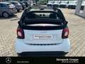 smart forTwo fortwo cabrio passion 66 KW DAB*LED&SENSOR*SHZ* BC Wit - thumbnail 16