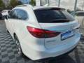 Mazda 6 Kombi Sports-Line White - thumbnail 7