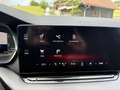 Skoda Octavia 2.0 TSI RS DSG/STANDHZG/HUD/DCC/R-KAMERA Rot - thumbnail 31