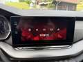 Skoda Octavia 2.0 TSI RS DSG/STANDHZG/HUD/DCC/R-KAMERA Rot - thumbnail 23
