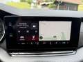 Skoda Octavia 2.0 TSI RS DSG/STANDHZG/HUD/DCC/R-KAMERA Rot - thumbnail 24