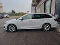 Skoda Octavia 2.0 TDI EVO SCR 150 CV DSG Wagon Executive Bianco - thumbnail 6