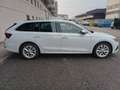 Skoda Octavia 2.0 TDI EVO SCR 150 CV DSG Wagon Executive Bianco - thumbnail 5