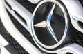Mercedes-Benz GLE 350 e 4MATIC (Híbrido Enchufable) Weiß - thumbnail 8