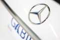 Mercedes-Benz GLE 350 e 4MATIC (Híbrido Enchufable) Weiß - thumbnail 26