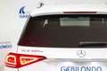 Mercedes-Benz GLE 350 e 4MATIC (Híbrido Enchufable) Weiß - thumbnail 17