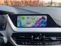 BMW 116 116iA*AUTOMAAT*APPLE-CARPLAY*CAMERA* Negro - thumbnail 19