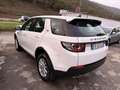 Land Rover Discovery Sport 2.0 td4 HSE Luxury awd 150cv auto - thumbnail 4