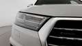 Audi Q7 50 3.0 tdi mhev Sport Plus quattro 7p.ti tiptronic White - thumbnail 13