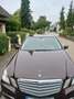 Mercedes-Benz E 220 CDI DPF BlueEFFICIENCY 7G-TRONIC - thumbnail 2