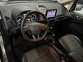 Ford EcoSport 1.0 EcoBoost 100 CV Titanium Argento - thumbnail 10