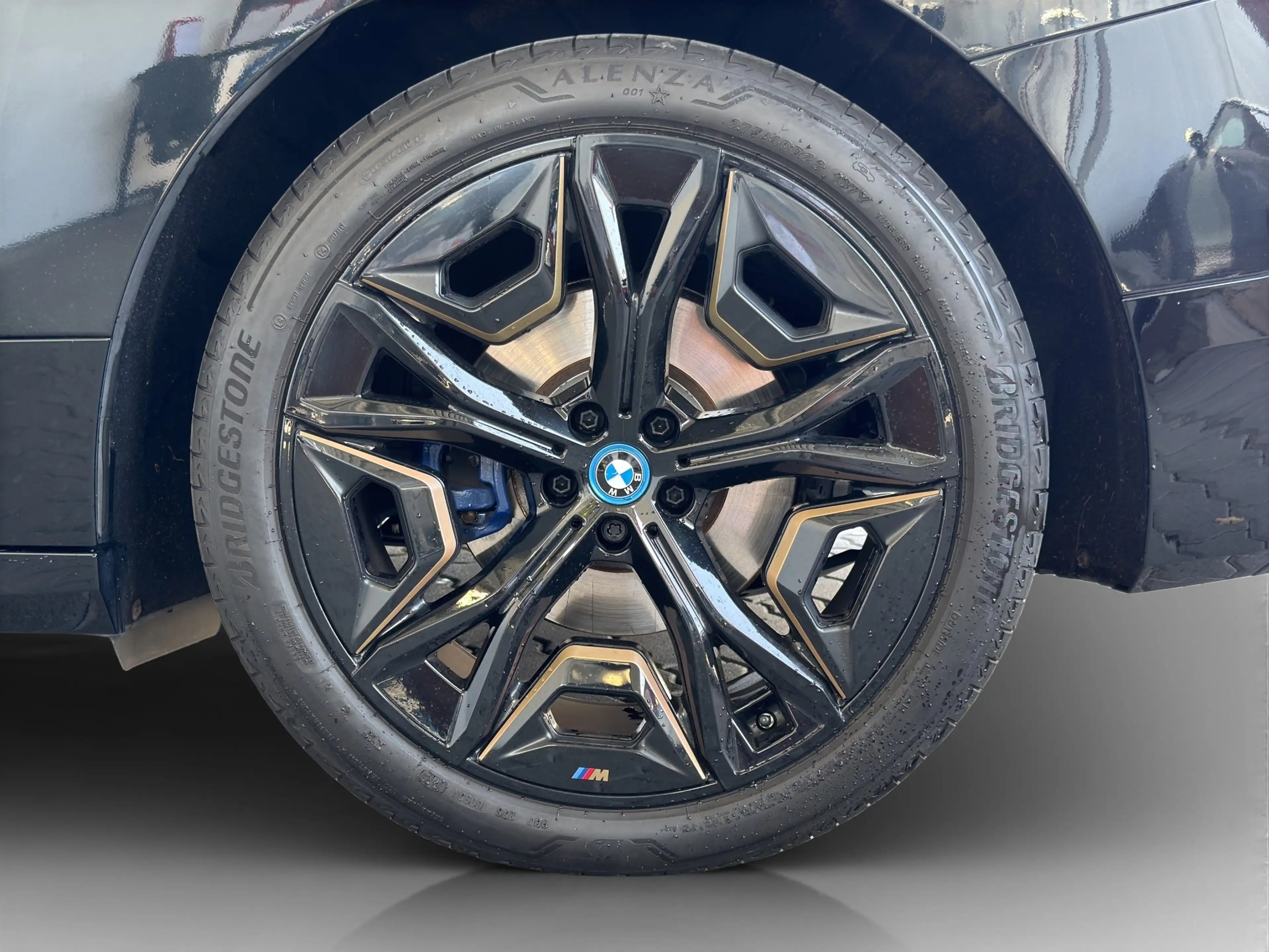 BMW iX xDrive40 Sportpaket LiveCock.Laserl.AHK.SkyLo — photo 10