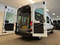 Ford Transit L3H3 Rolstoelbus Groepsvervoer Wit - thumbnail 5