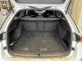 Skoda Octavia Combi 1.4 TSI iV STYLE LM8 SITZHZG PDC D Weiß - thumbnail 6