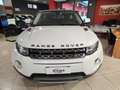 Land Rover Range Rover Evoque I 3p 2.2 td4 Prestige 150cv Bianco - thumbnail 2