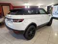 Land Rover Range Rover Evoque I 3p 2.2 td4 Prestige 150cv Bianco - thumbnail 4
