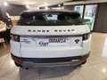 Land Rover Range Rover Evoque I 3p 2.2 td4 Prestige 150cv Bianco - thumbnail 5