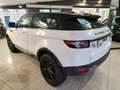 Land Rover Range Rover Evoque I 3p 2.2 td4 Prestige 150cv Bianco - thumbnail 6