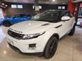 Land Rover Range Rover Evoque I 3p 2.2 td4 Prestige 150cv Bianco - thumbnail 1
