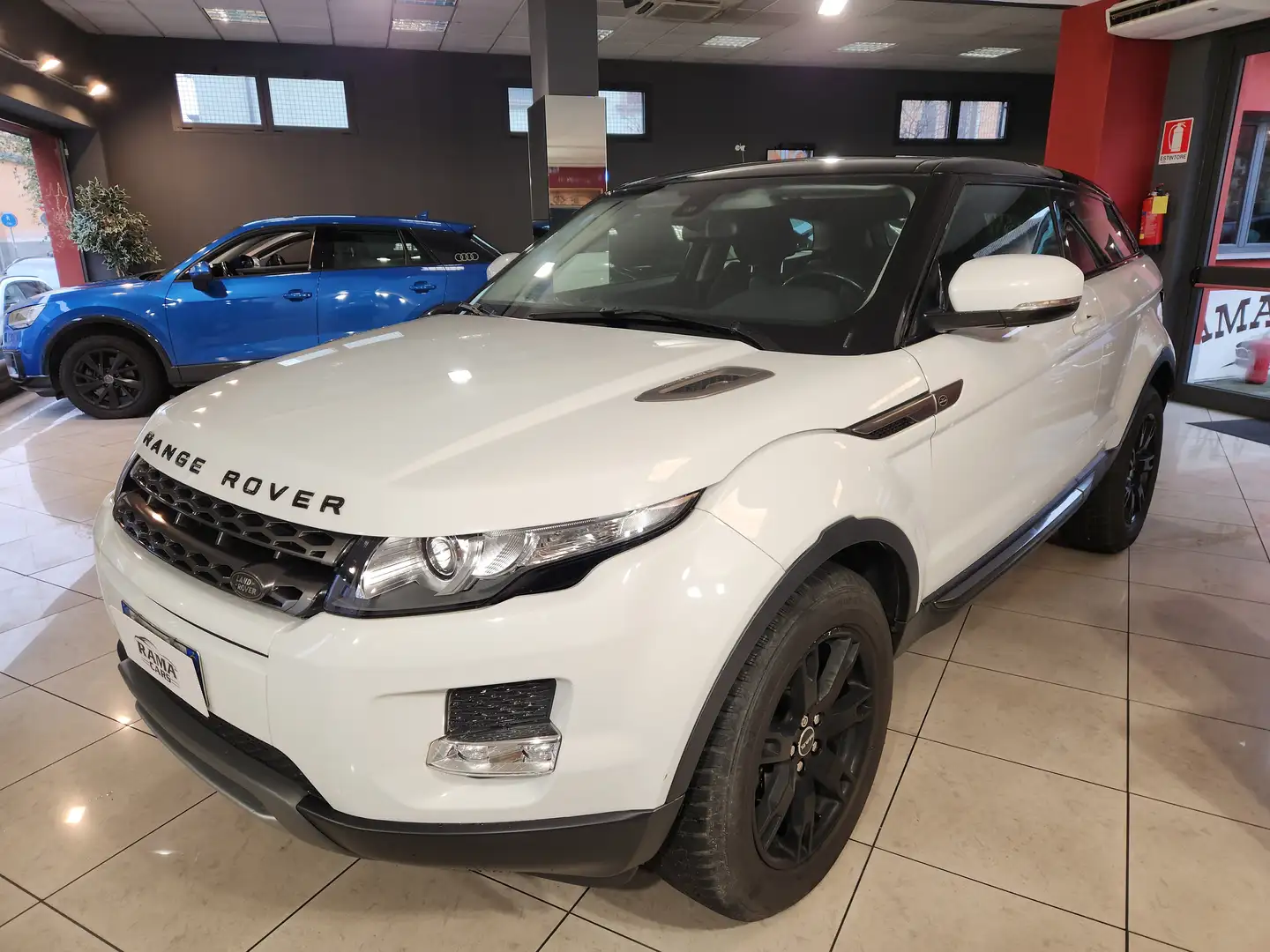 Land Rover Range Rover Evoque I 3p 2.2 td4 Prestige 150cv Bianco - 1