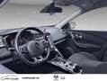 Renault Kadjar Blue dCi 115 EDC Business Rouge - thumbnail 13