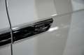 Volkswagen Touareg 3.0TDI V6 Premium Tiptronic Elegance 4M 210kW - thumbnail 17