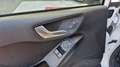 Ford Fiesta AFFAIRES 1.1 85 CH SS BVM5 TREND 2 PL Blanc - thumbnail 10