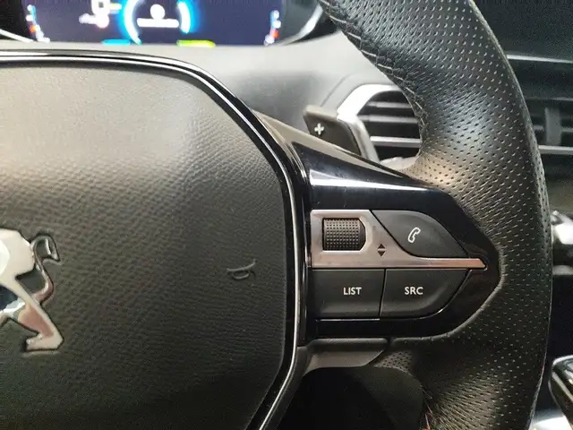 Peugeot 3008 view 19